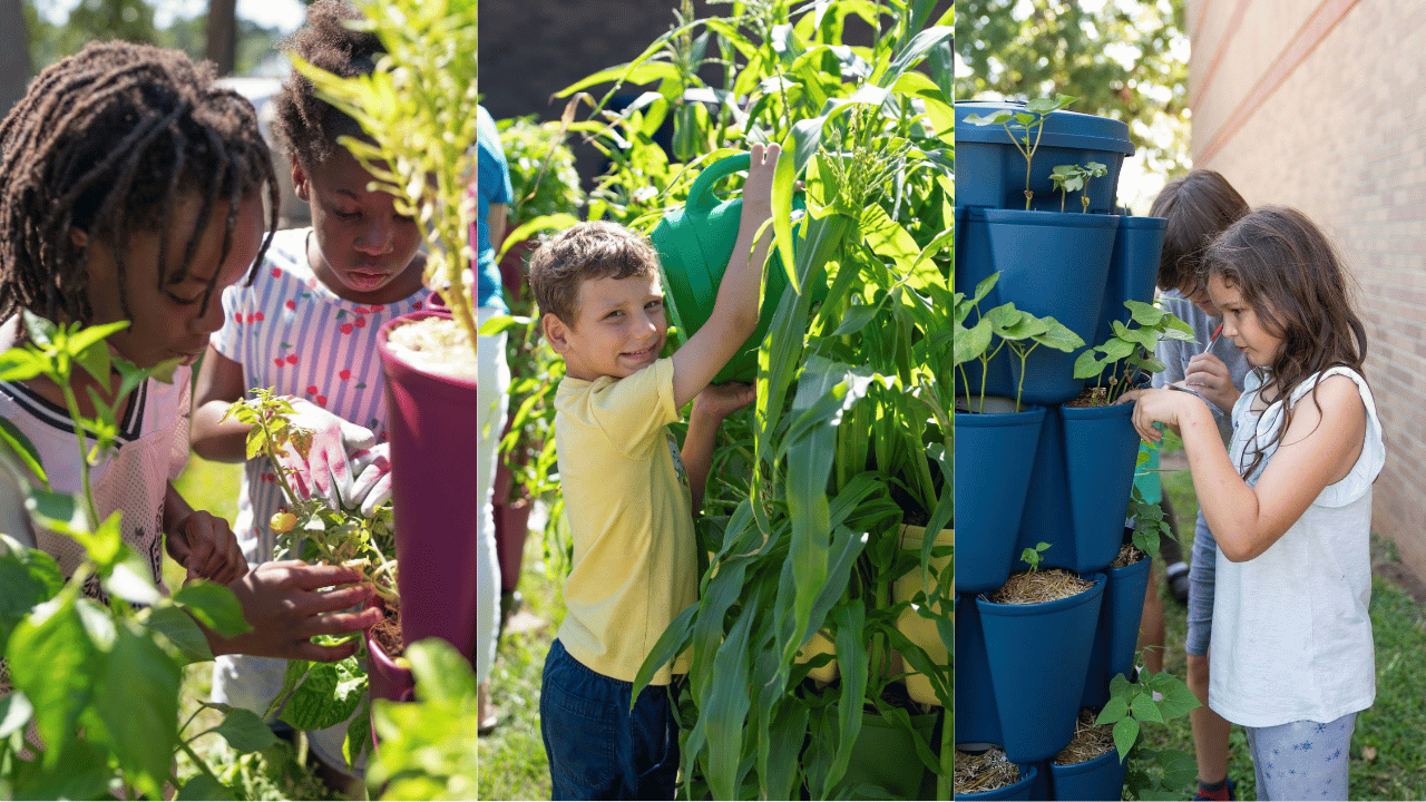 Learn, Grow, Eat & Go community garden program
