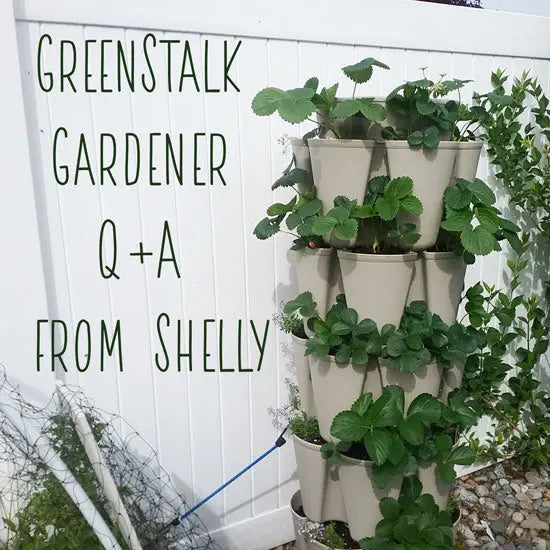 GreenStalk Gardener Q+A from Shelly - GreenStalk Garden