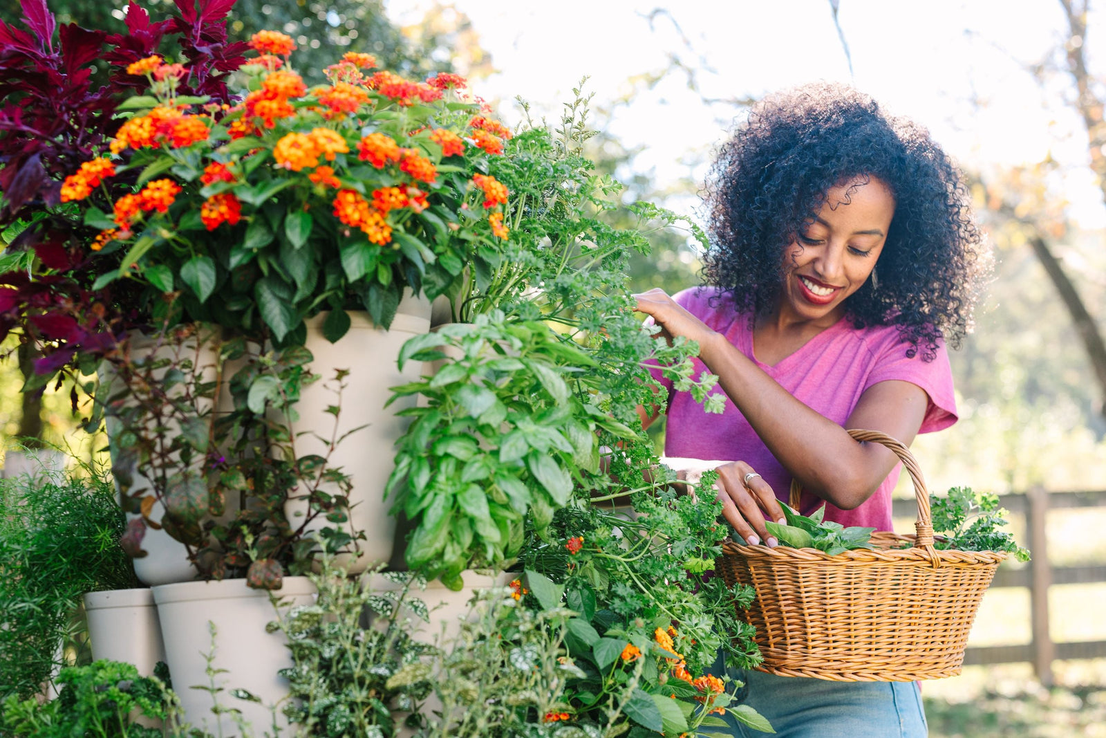 12 Herbs We Love to Grow Vertically