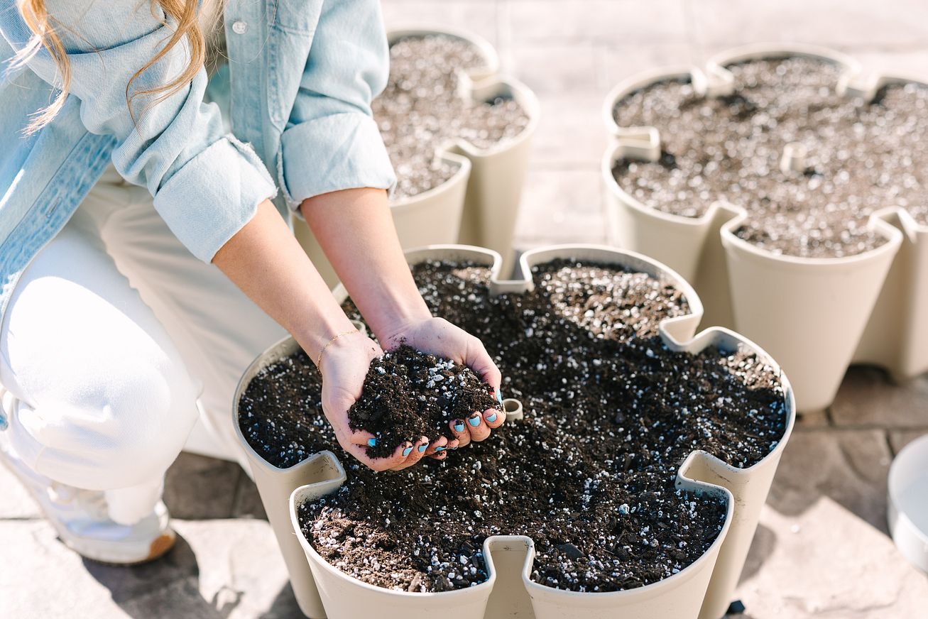 Holding a handful of potting soil in a GreenStalk Vertical Garden