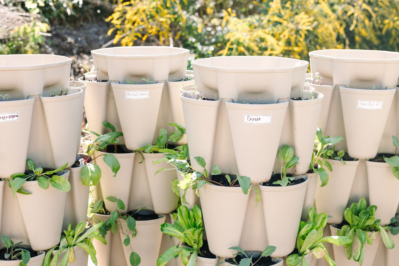 Soil test GreenStalk planters