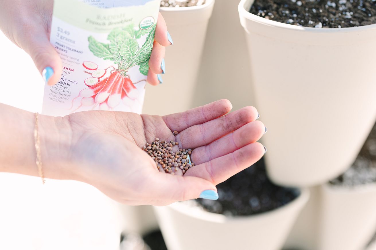 Tips For Direct Sowing