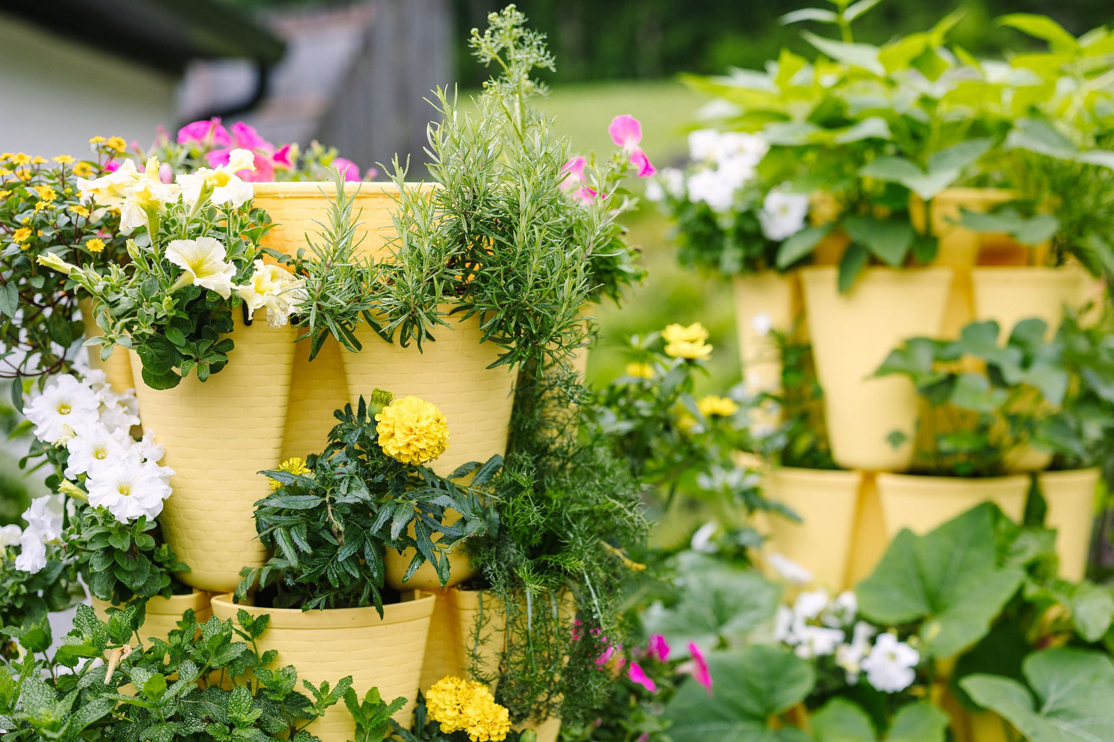 A lush garden of GreenStalk Vertical Planters