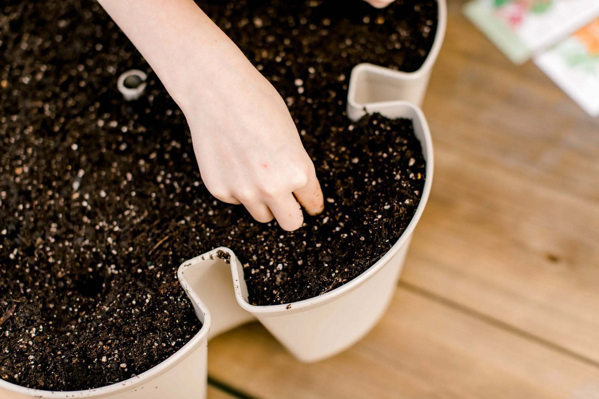 How to Choose the Right Soil for Containers - GreenStalk Garden