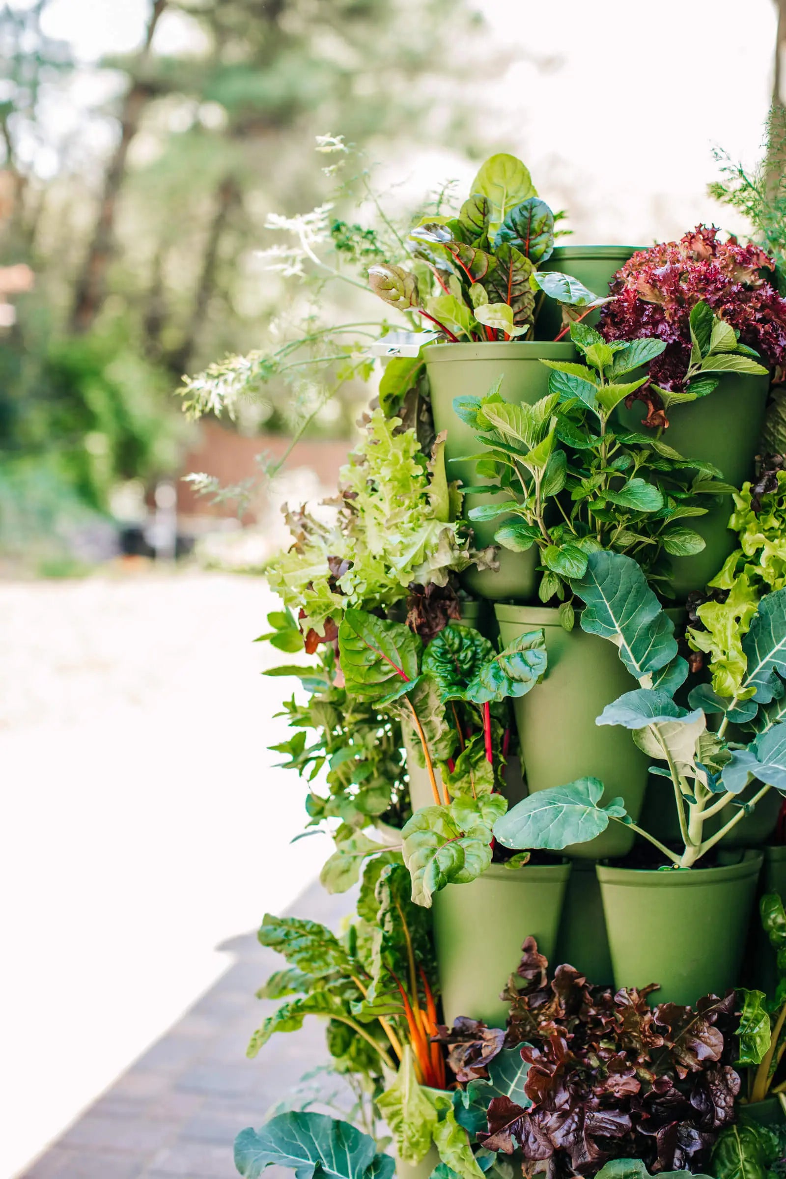 USA Growing Zones - GreenStalk Garden