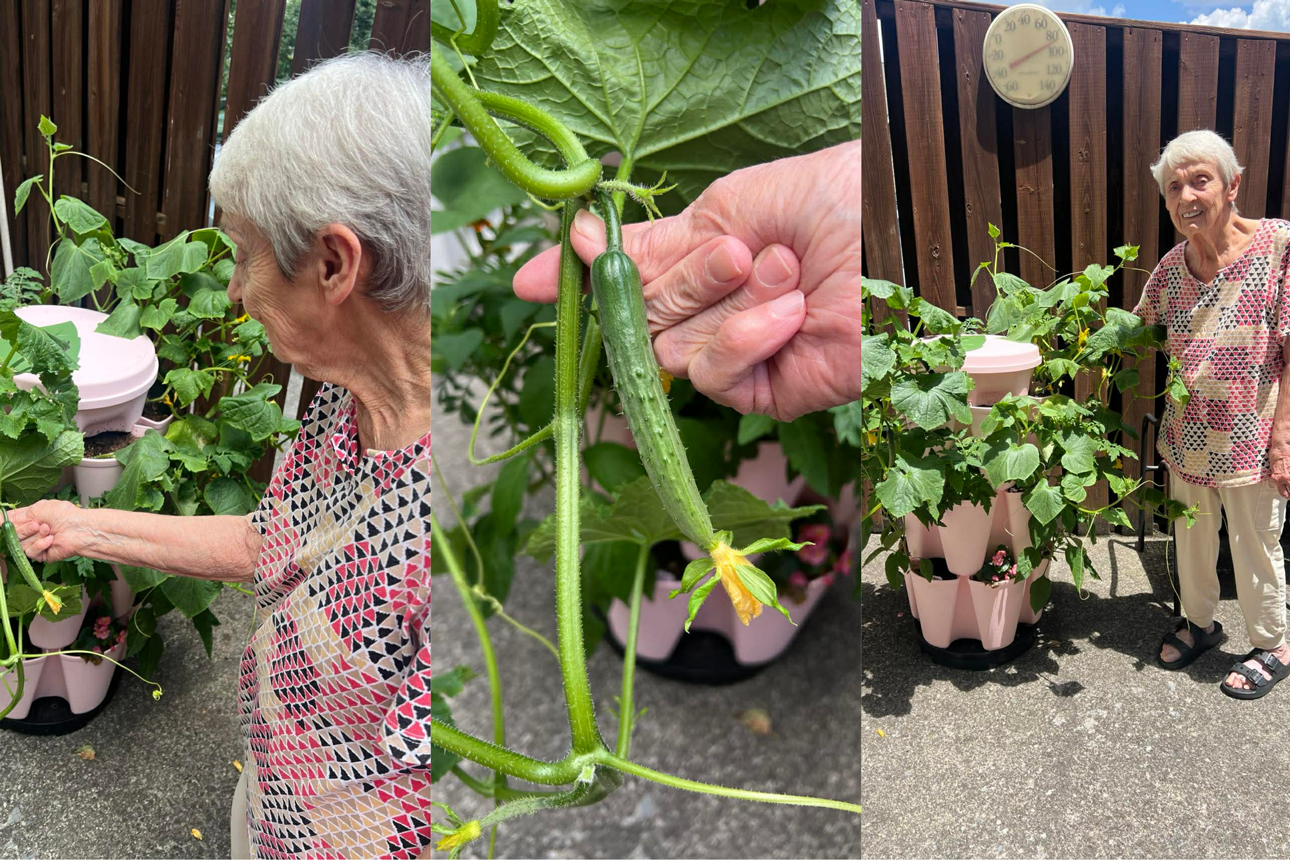 Juanita and her GreenStalk Vertical Planter