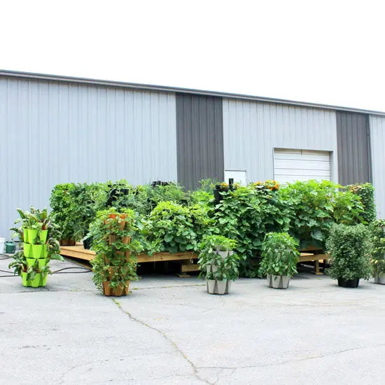 Parking Lot Gardens - GreenStalk Garden