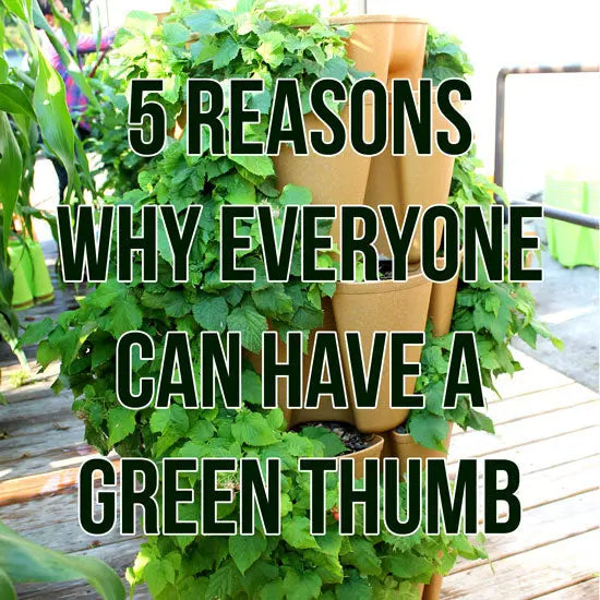 5 Reasons Why Everyone Can Have A Green Thumb - GreenStalk Garden