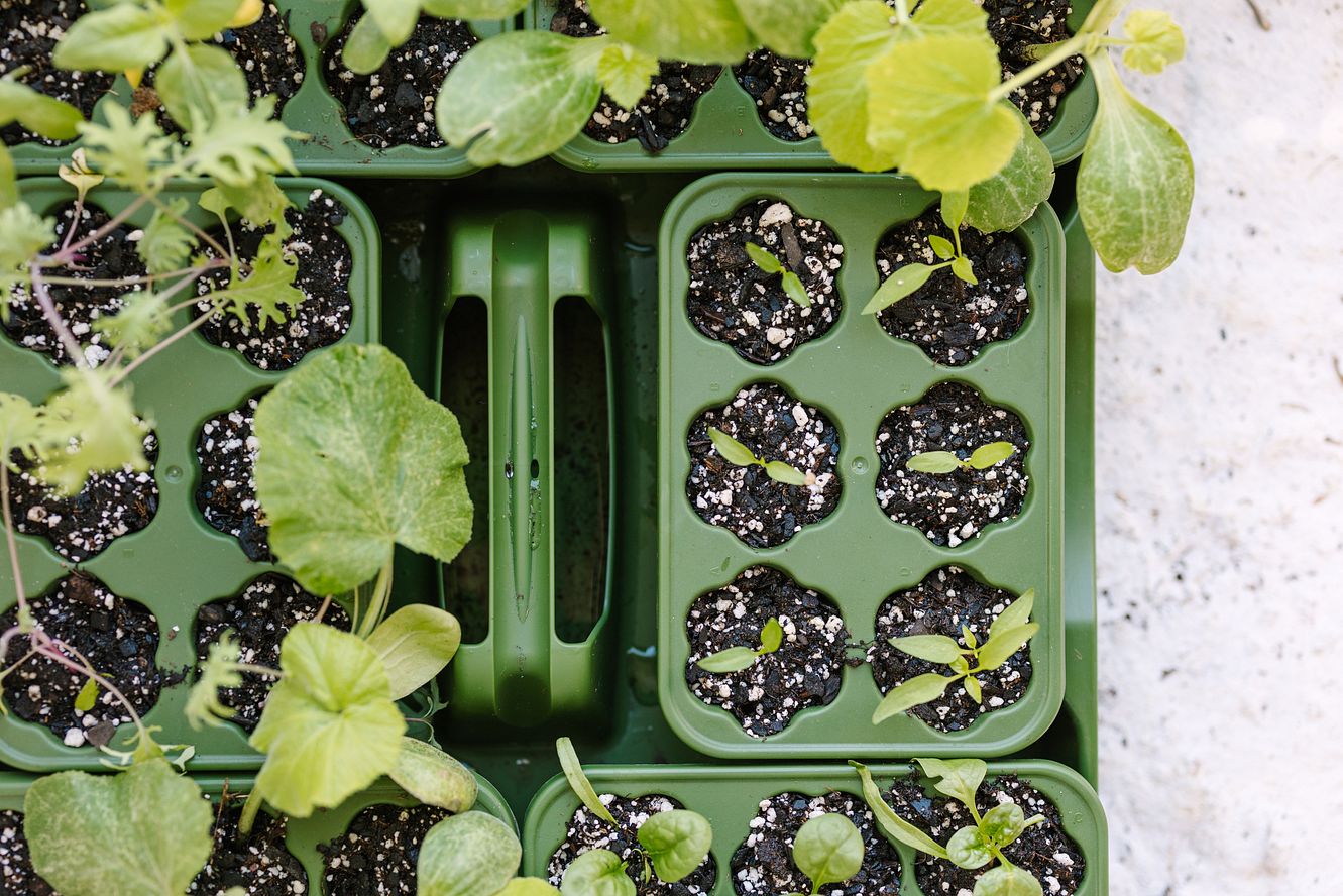 A-Guide-to-Starting-Seeds GreenStalk Garden