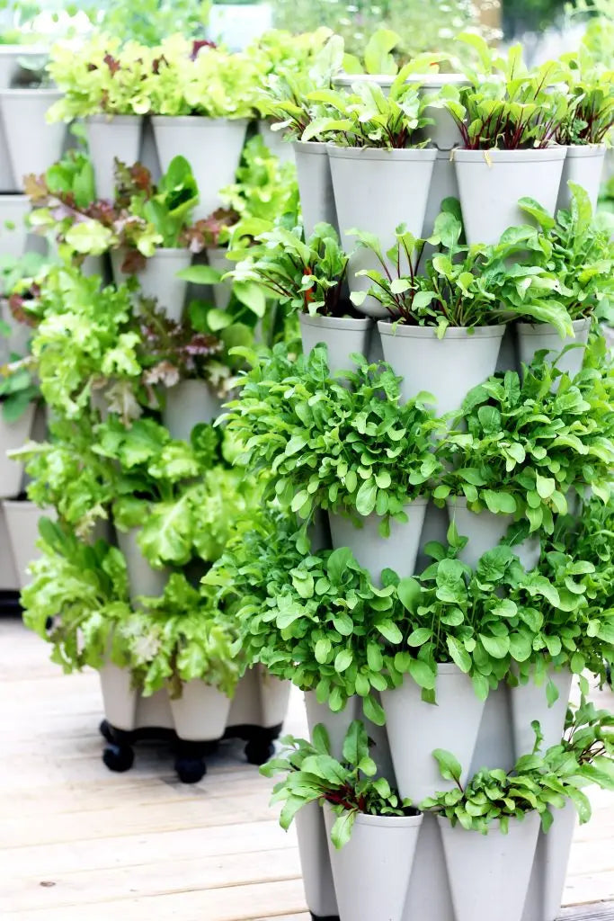 All About Fall Gardening - GreenStalk Garden