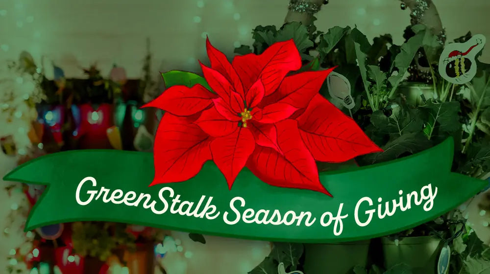 Introducing GreenStalk's Season of Giving! - GreenStalk Garden