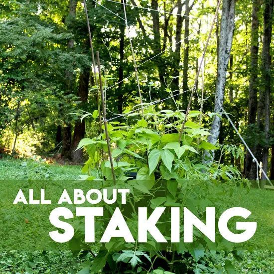 How to Easily Stake and Trellis Plants Growing Vertically - GreenStalk Garden