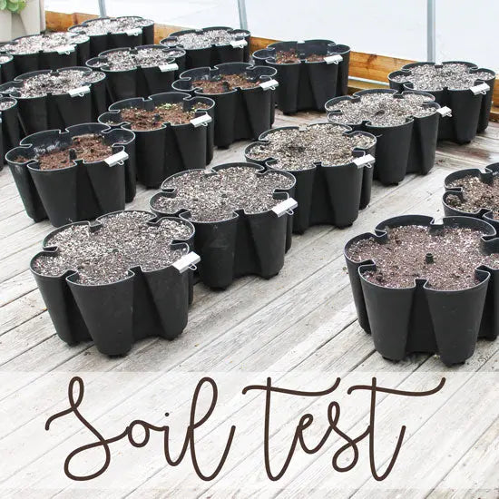Soil Test - Which Potting Mix is Best? - GreenStalk Garden