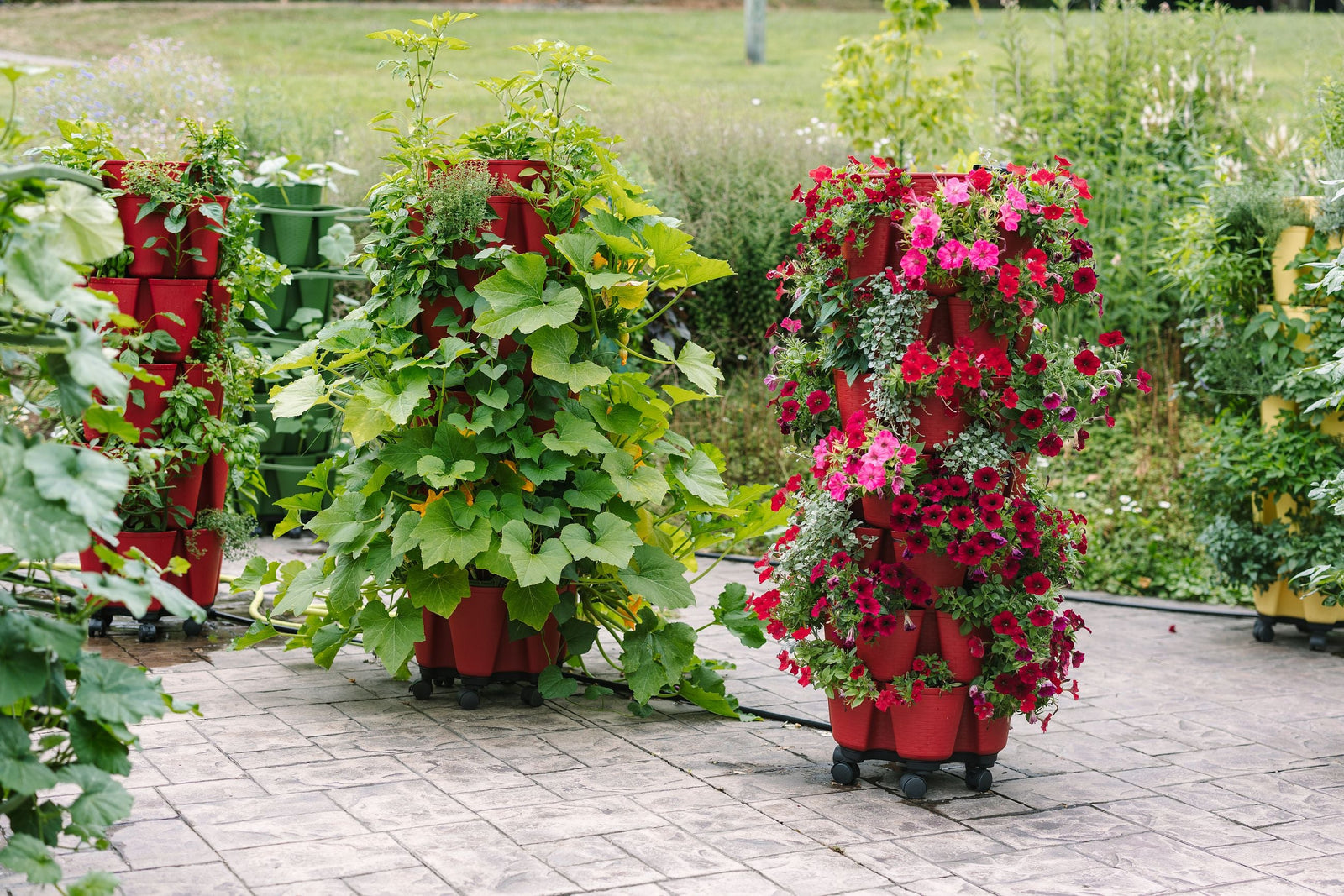 GreenStalk Vertical Planters connected to the Spring Watering System