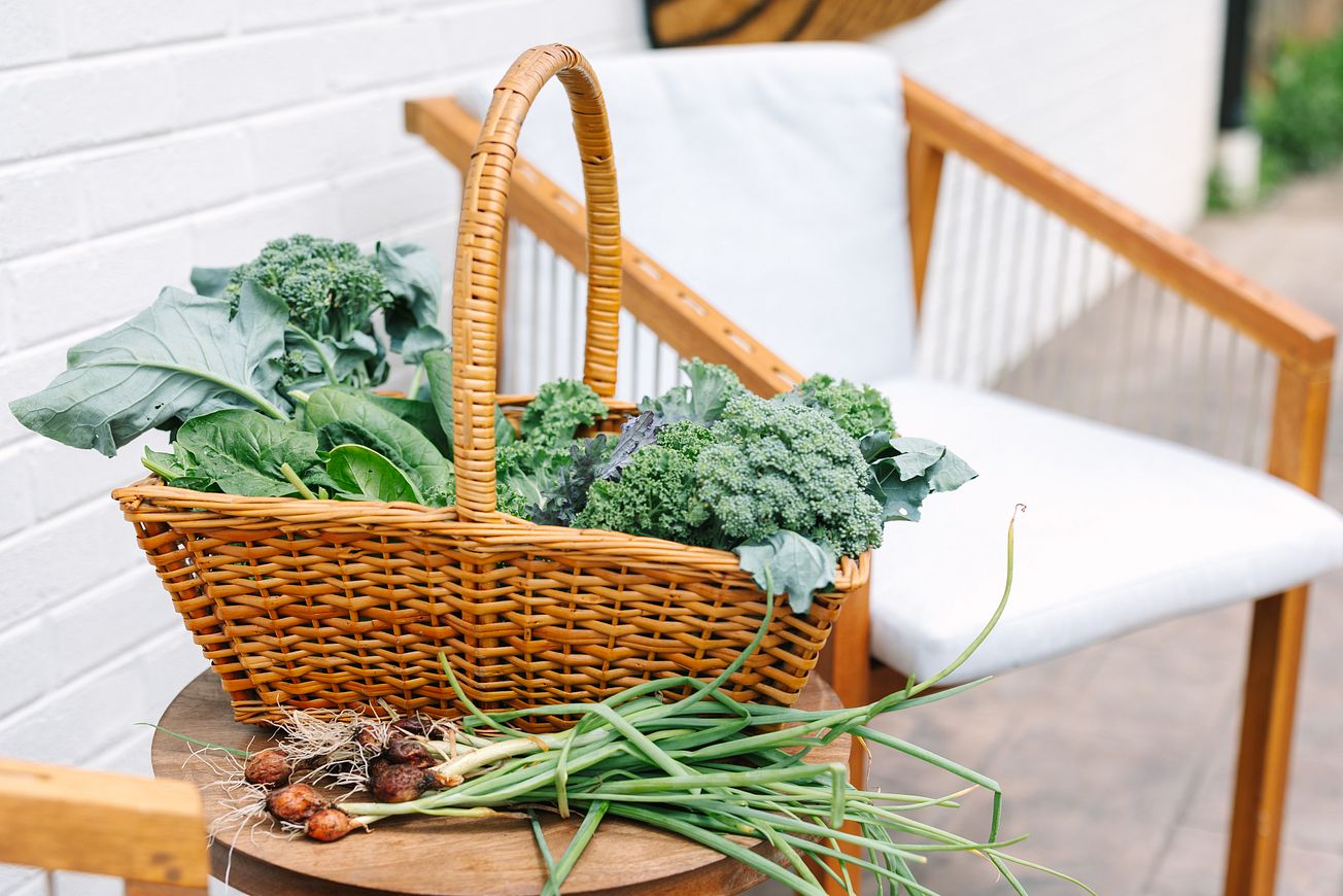 Spring harvest from a GreenStalk Vertical Garden