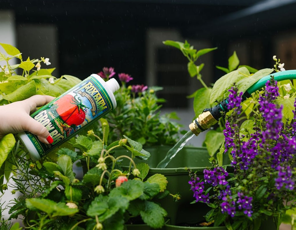 Fertilizing a GreenStalk with Fox Farm Grow Big