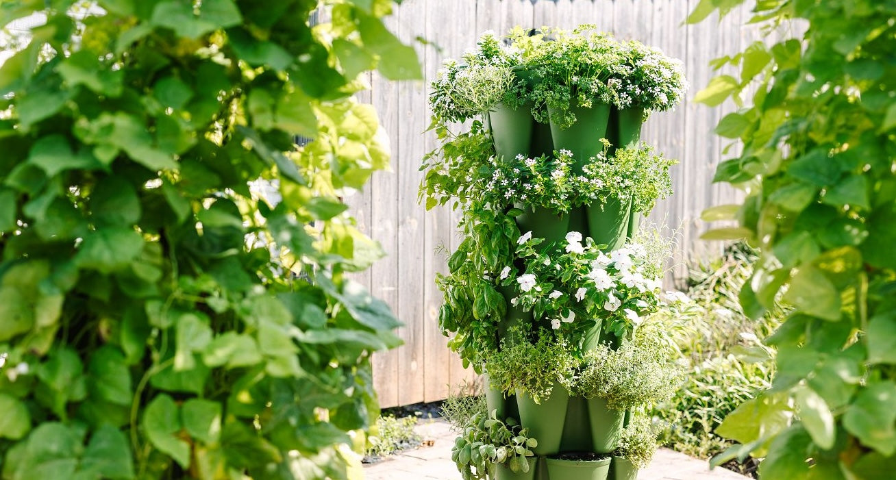 What to Plant in Your GreenStalk Garden - GreenStalk Garden