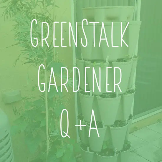 GreenStalk Gardener Q+A from Malone - GreenStalk Garden