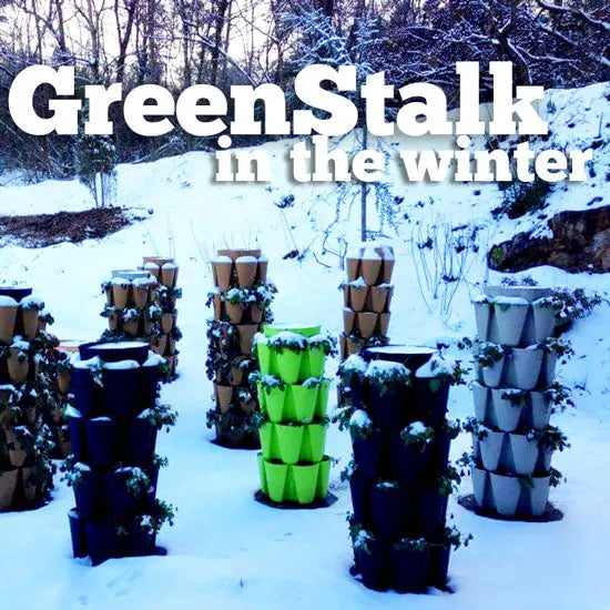What To Do With Your Vertical Garden In The Winter? - GreenStalk Garden
