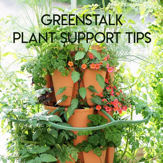 Tips for Using the New GreenStalk Plant Support - GreenStalk Garden