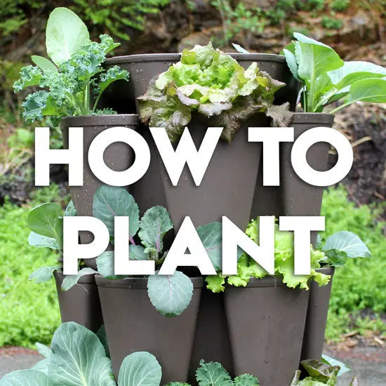 Video: How to Plant Up a GreenStalk Vertical Planter Step by Step - GreenStalk Garden