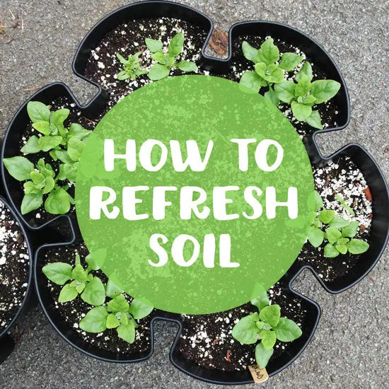 How to Reuse Soil in Container Gardens - GreenStalk Garden