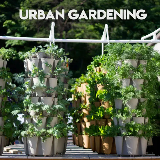 How to Create a Simple Urban Vegetable Garden - GreenStalk Garden