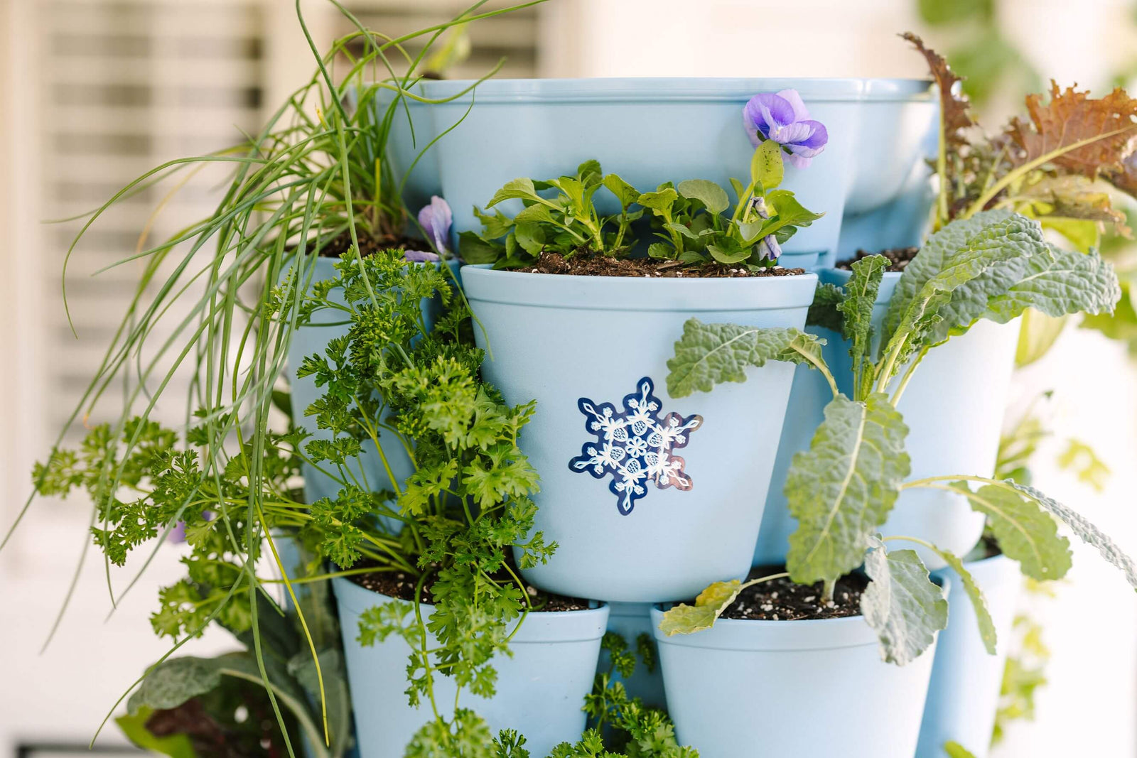 Doorbuster GreenStalk Garden