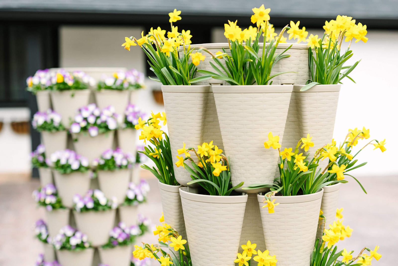 Basket-Weave-Savings-Event GreenStalk Garden