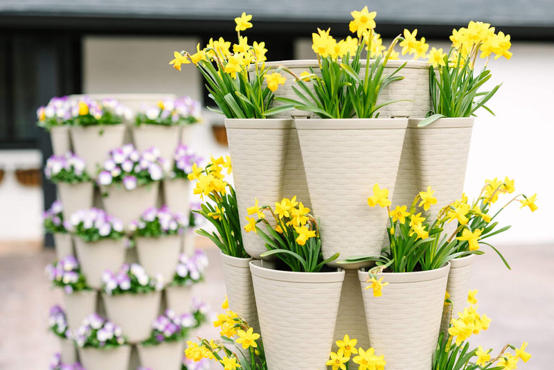 Basket-Weave-Savings-Event GreenStalk Garden