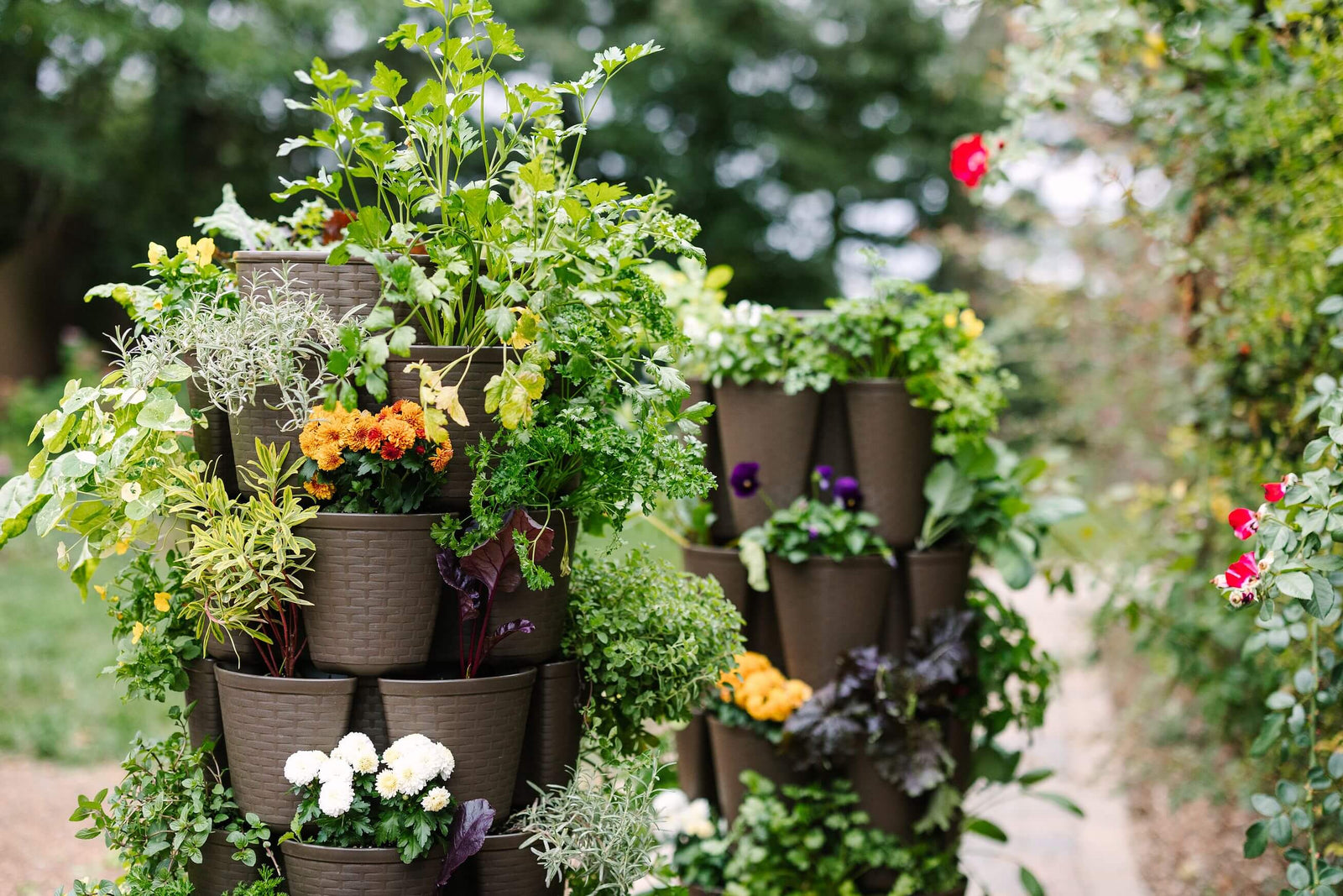 Chocolate-Brown GreenStalk Garden