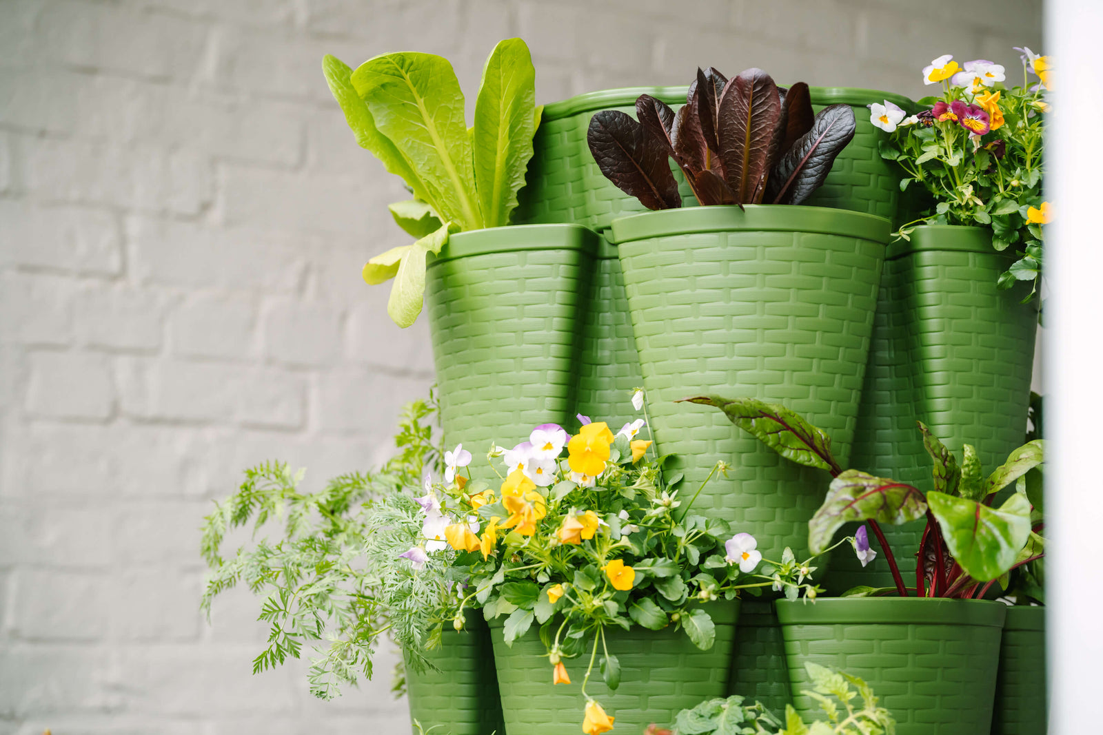 Evergreen GreenStalk Garden