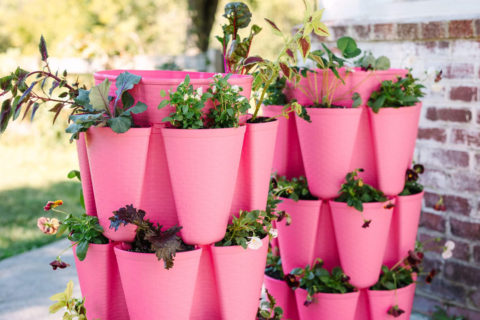 Strawberry-Pink GreenStalk Garden