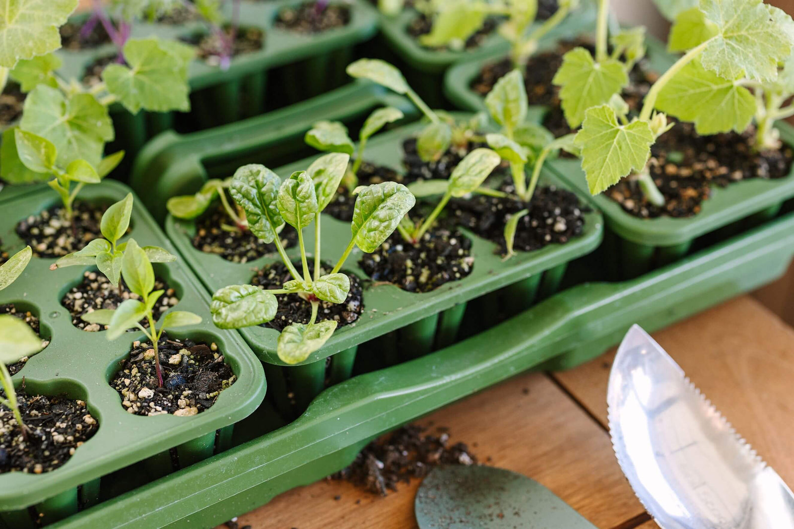 Seed-Starting GreenStalk Garden