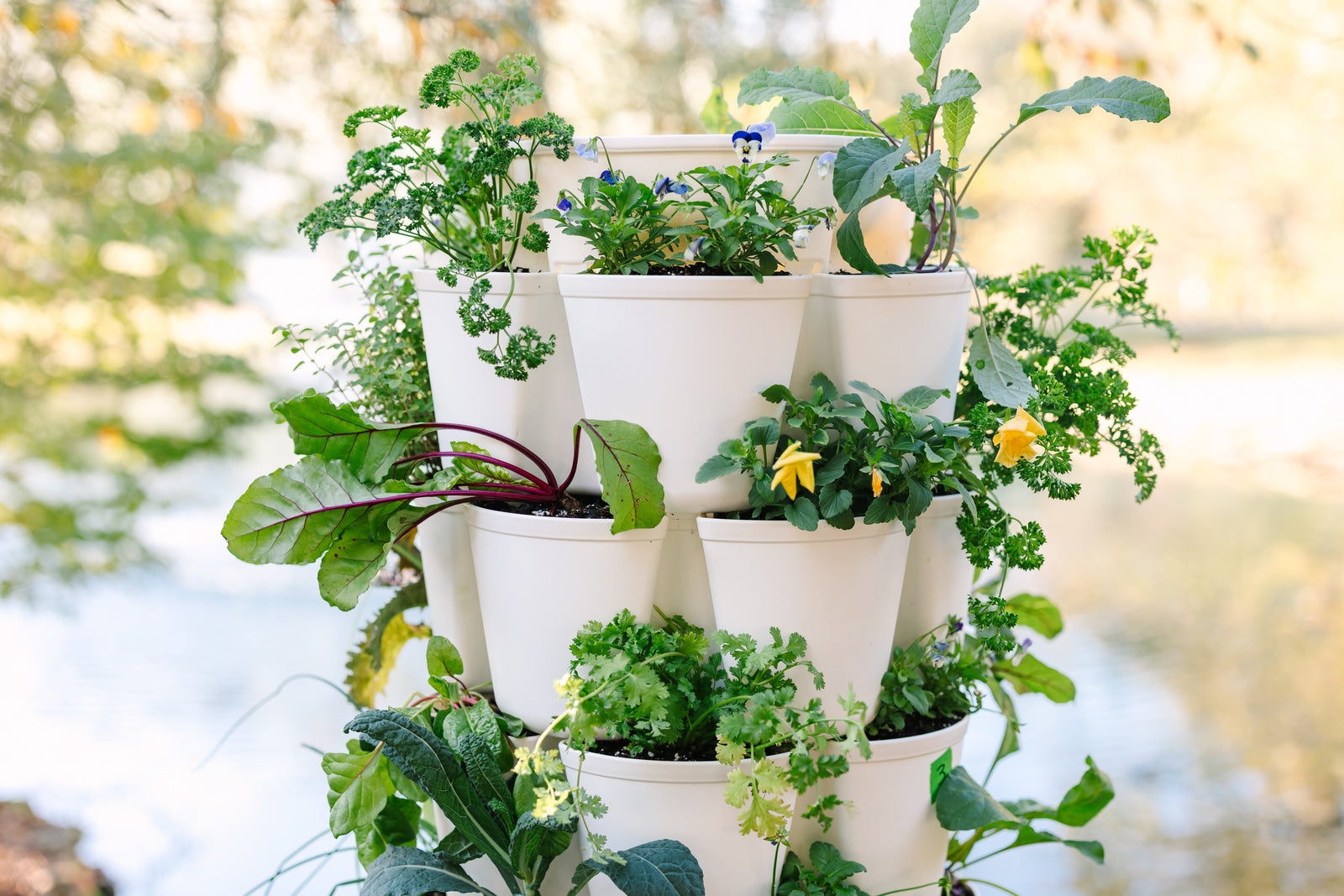 Winter GreenStalk Garden