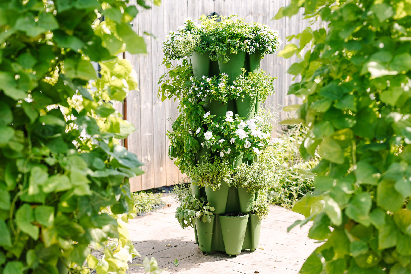 All Products - GreenStalk Garden