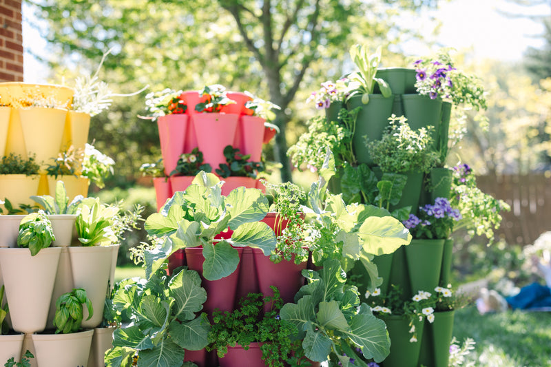 Mother-s-Day-Sale GreenStalk Garden