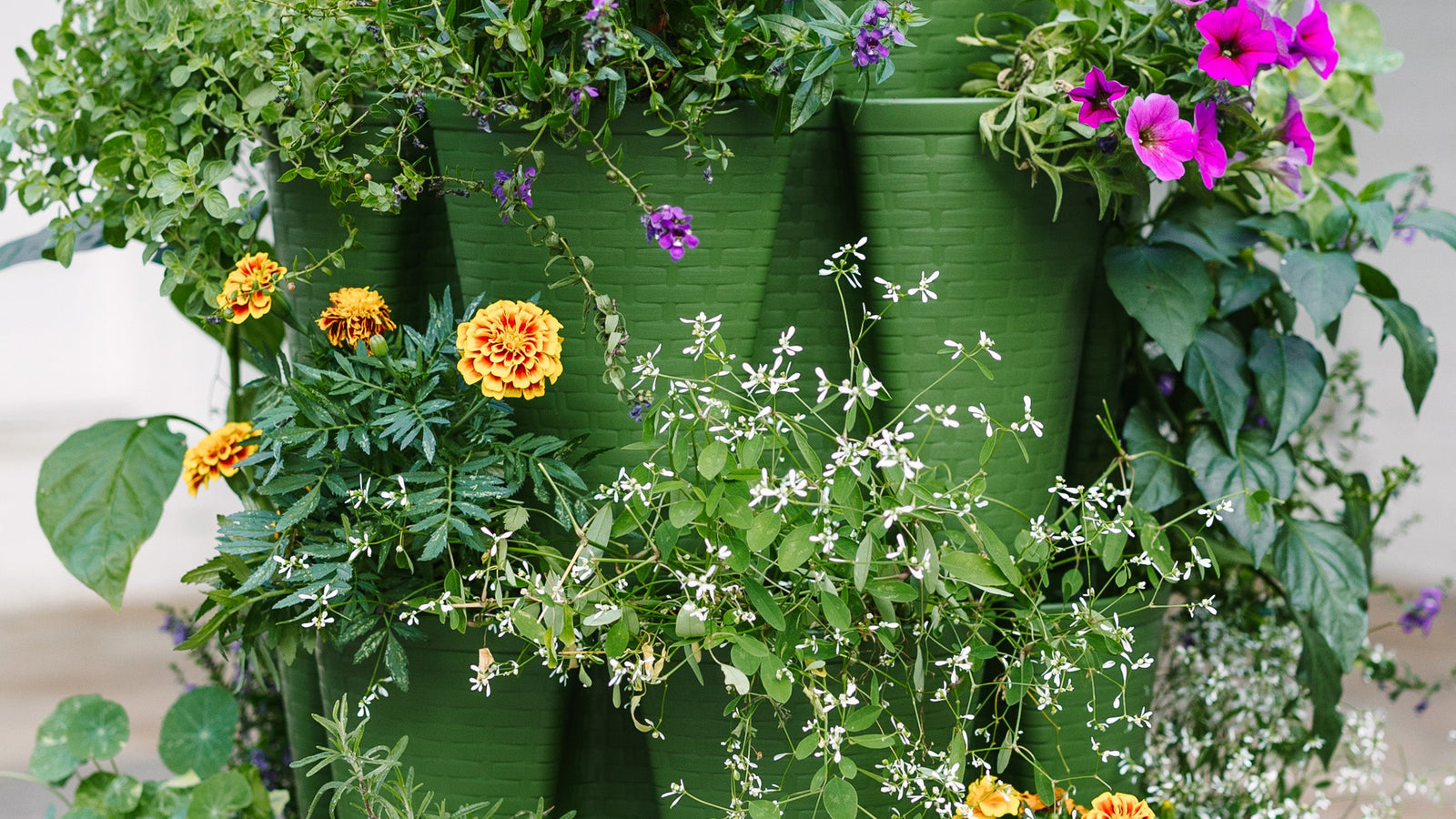 New-Arrivals GreenStalk Garden