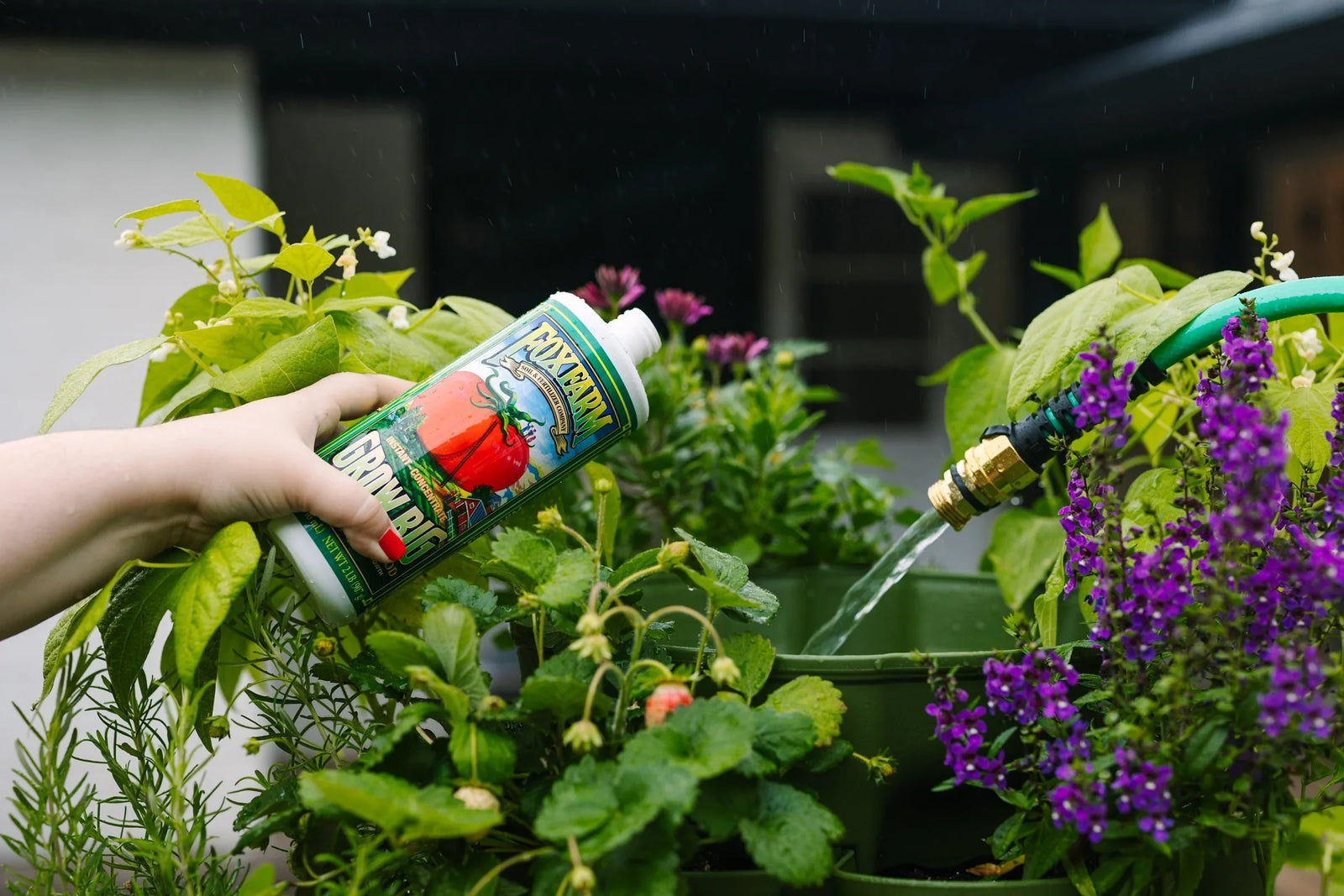 Plant-Care-Support GreenStalk Garden