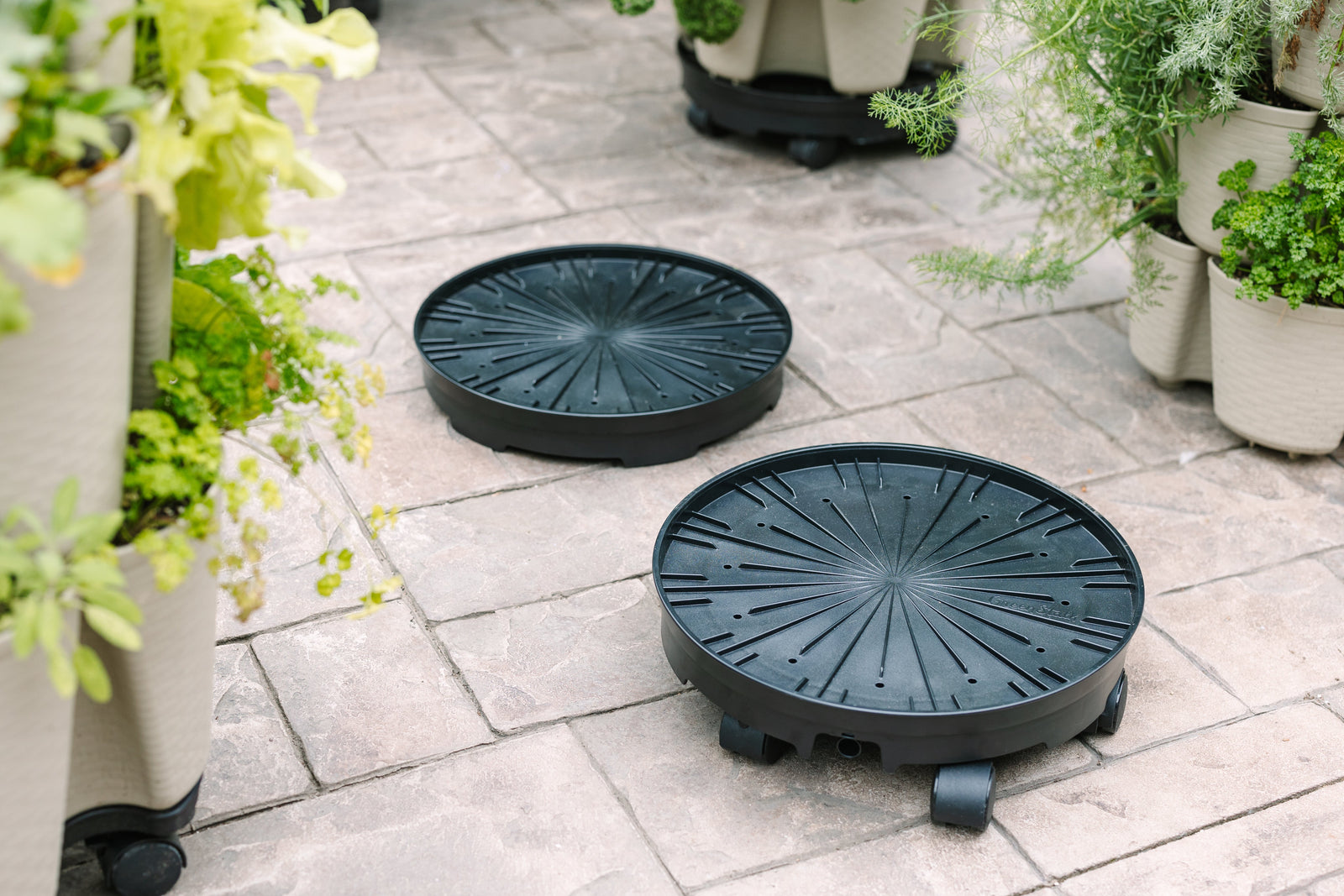 Garden-Lid-Spring-Promotion GreenStalk Garden
