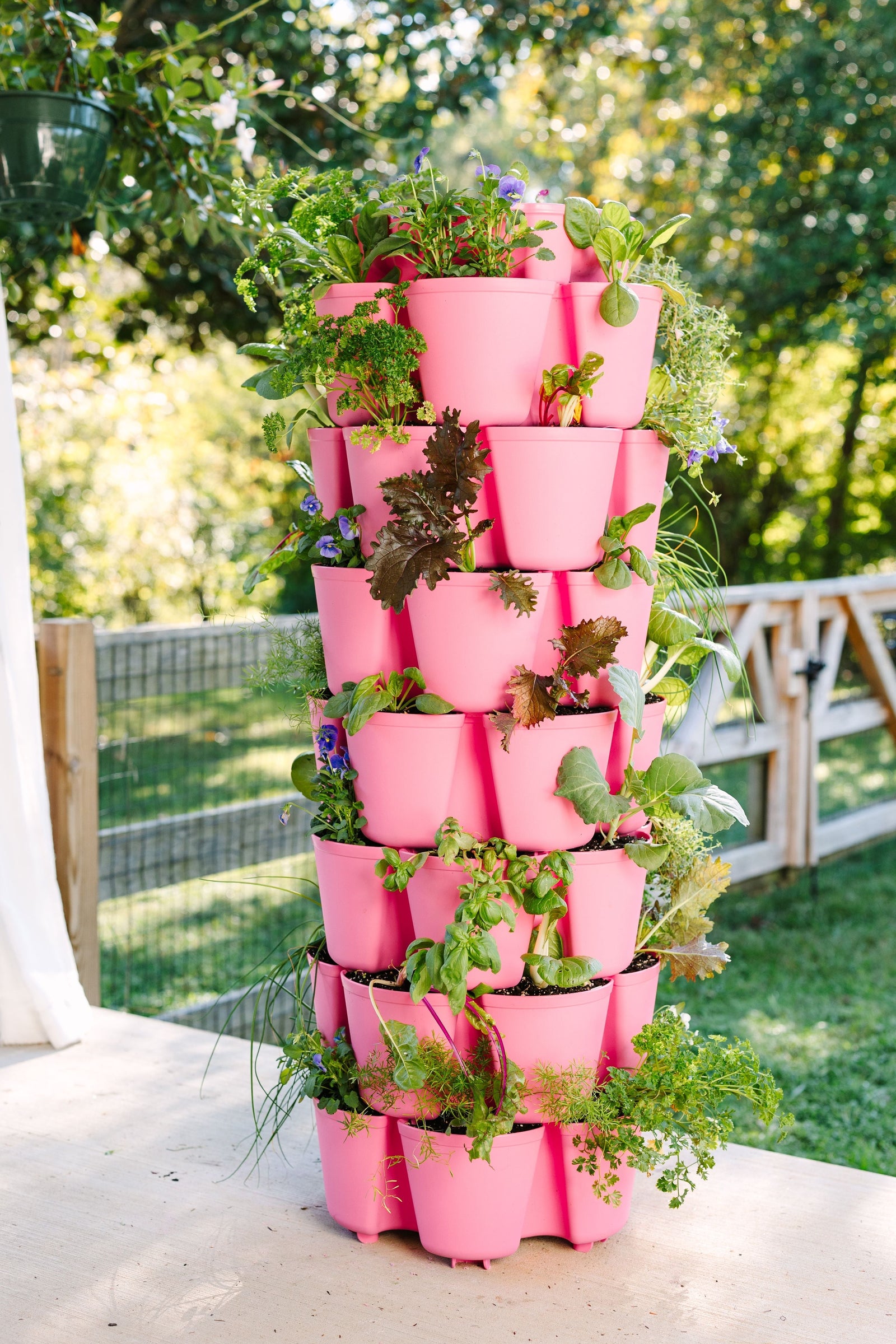 7-Tier-Basic-Sale GreenStalk Garden