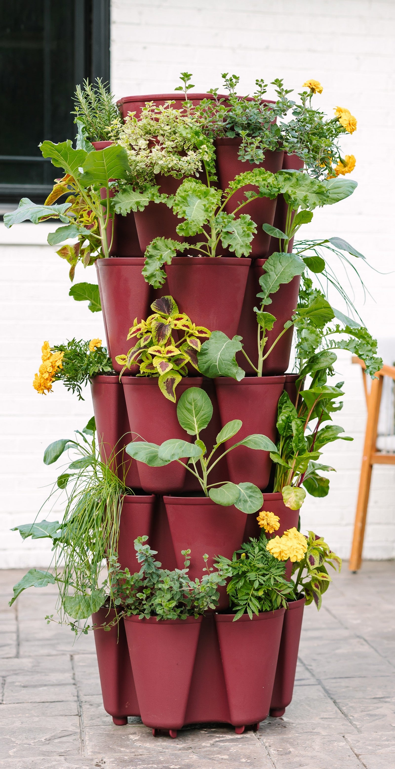 Gary-s-Bundle-Sale GreenStalk Garden