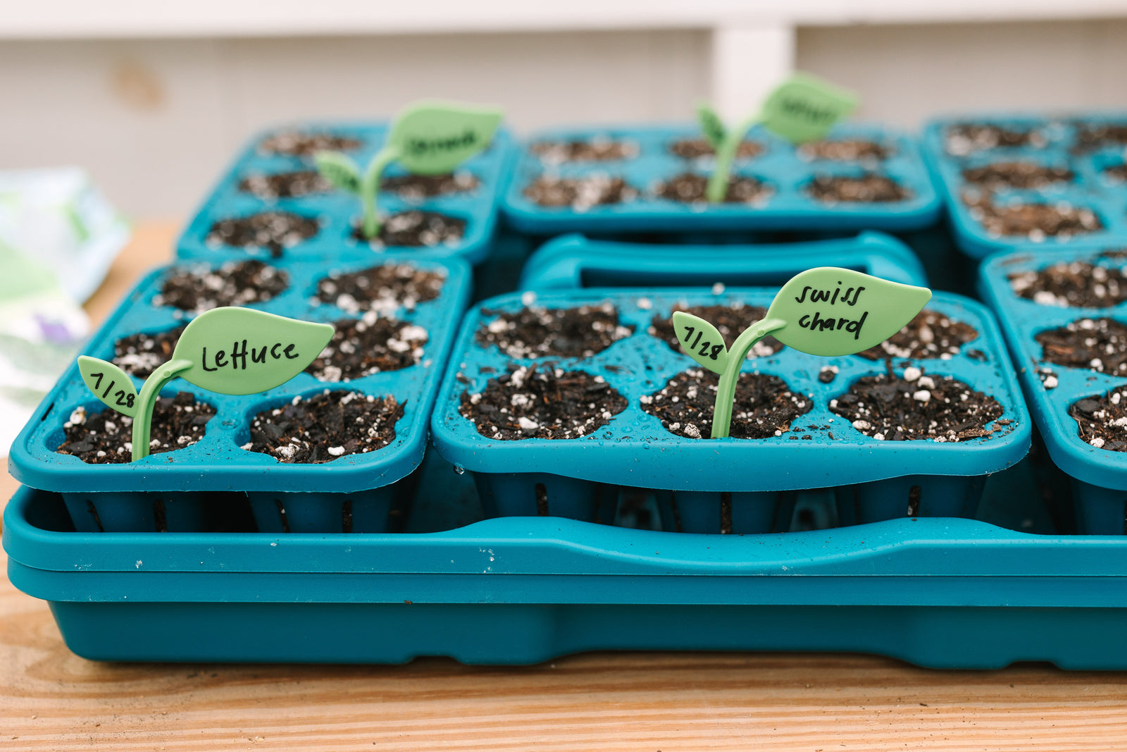 GreenStalk Seed Starter Kit with Domes | Dragonfly 