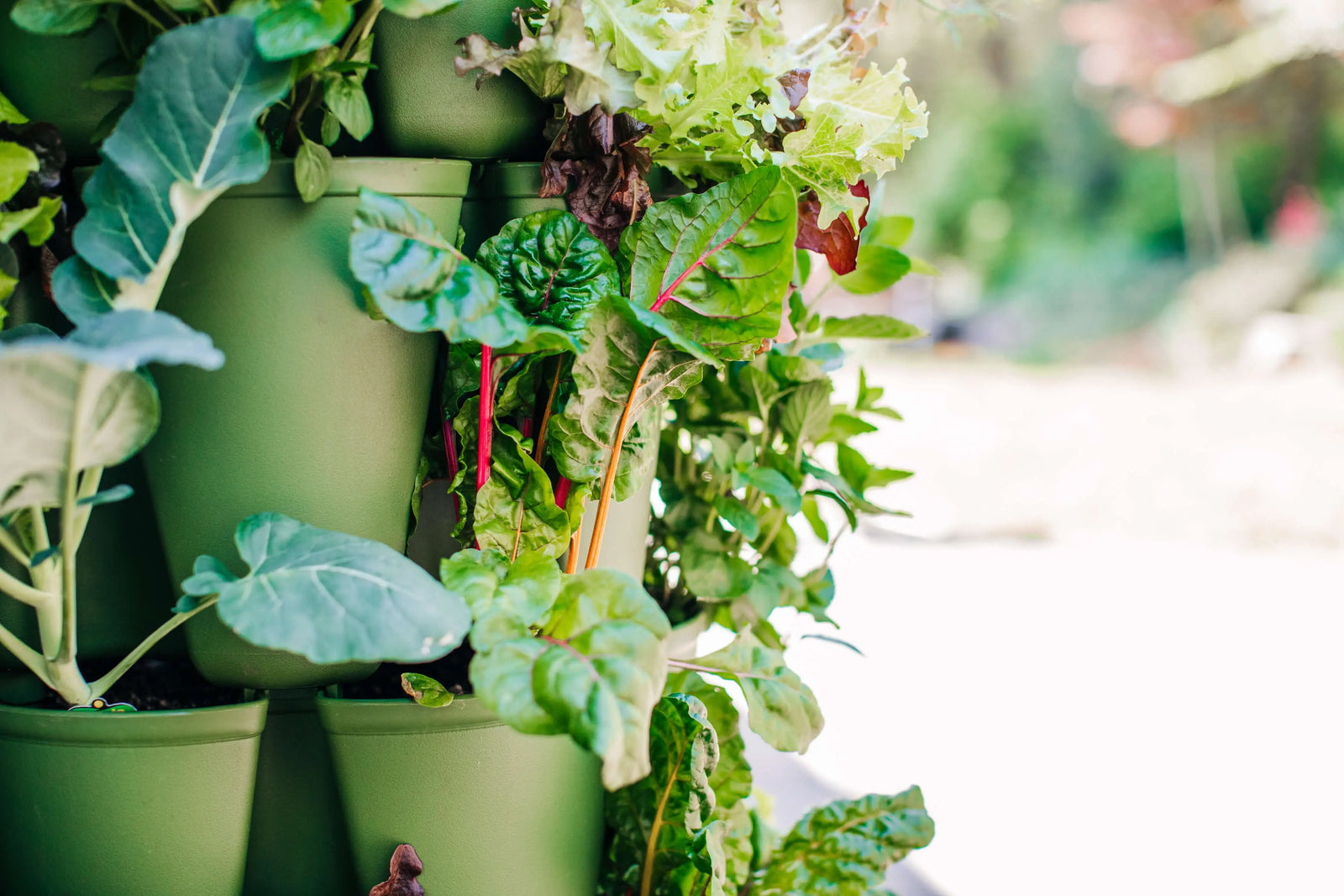 Vertical Planters - GreenStalk Garden