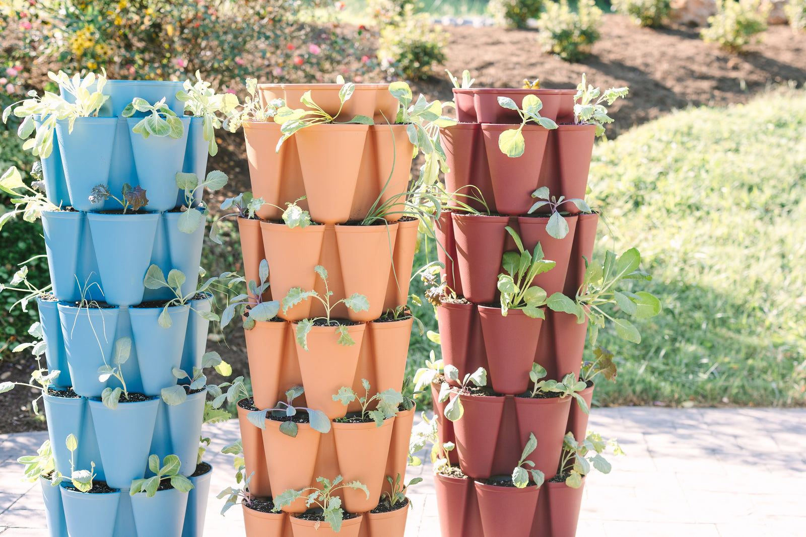 Warehouse-Clearance-Sale GreenStalk Garden