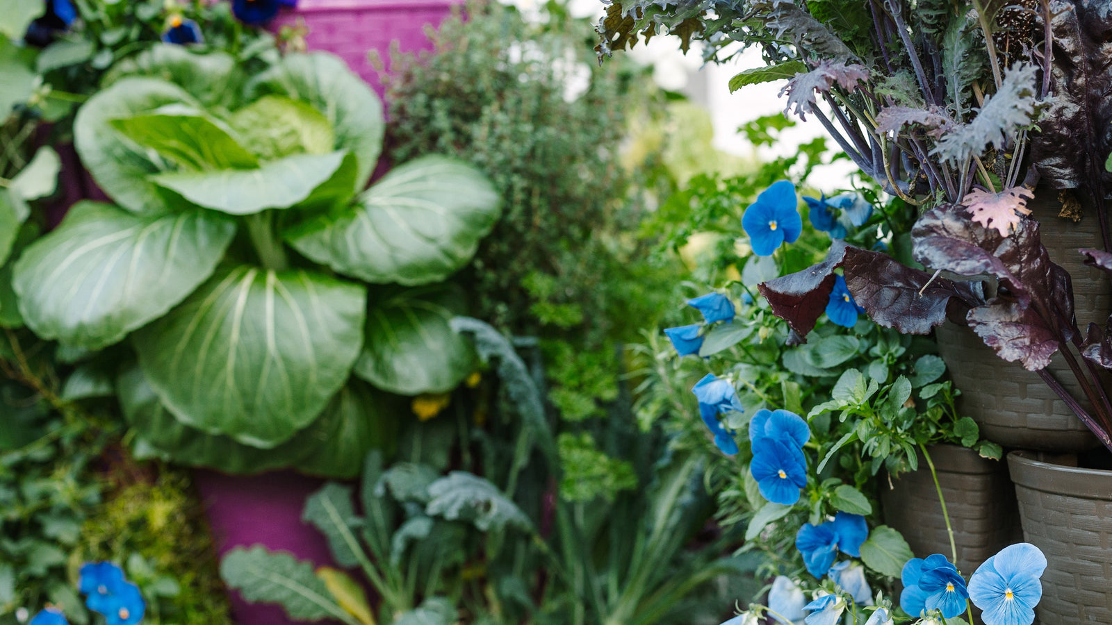 Limited-Edition GreenStalk Garden