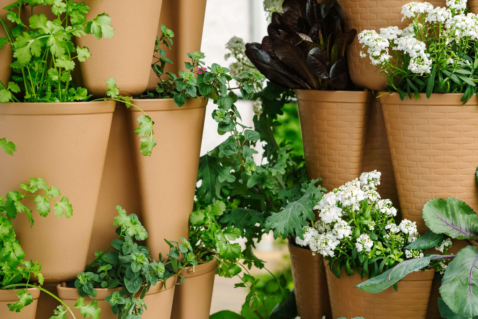 Maple GreenStalk Garden