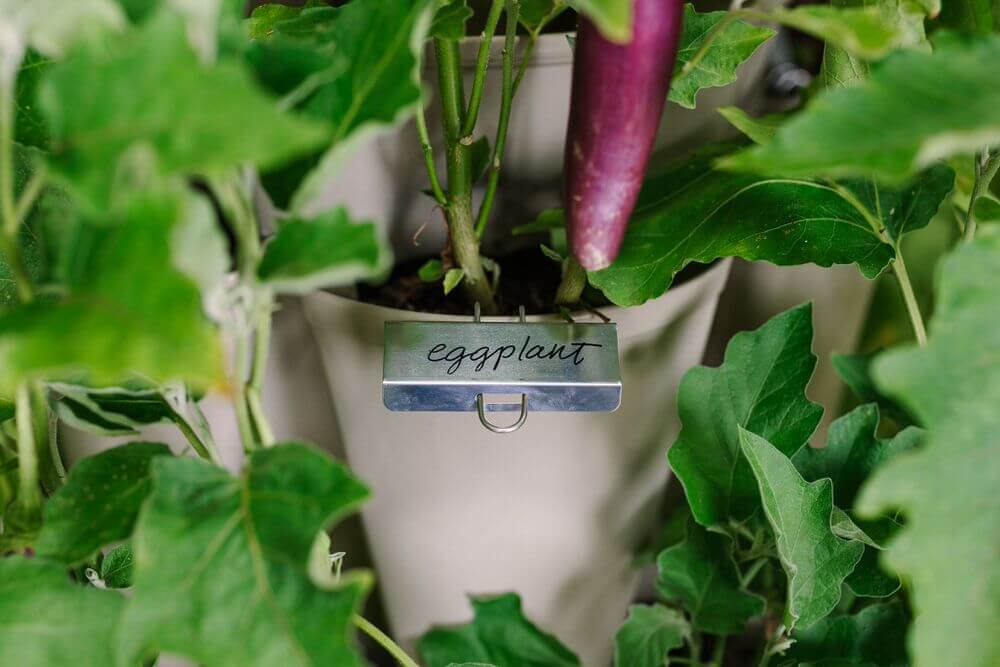 Plant-Markers GreenStalk Garden