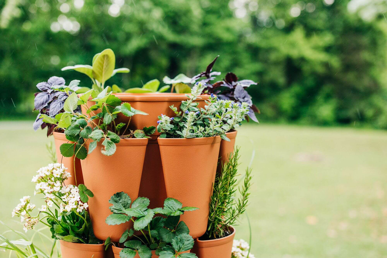 Terracotta GreenStalk Garden