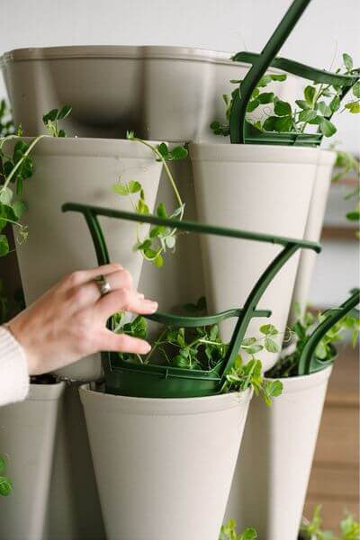 GreenStalk Trellis
